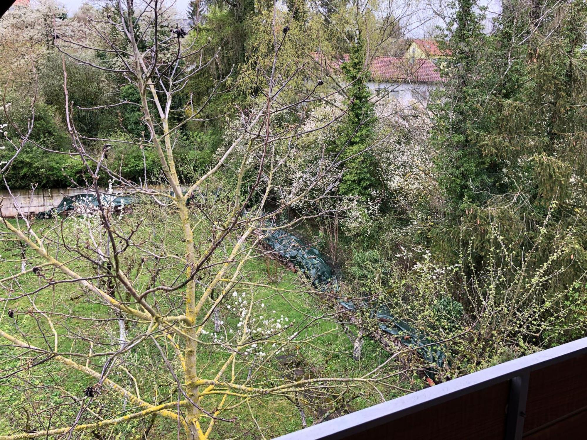 Blaues Zimmer Mit Grossem Balkon, Bad Ist Ein Traum, 50 Schritte Zum Radweg Am Main,Ideal For Short Stay Mainstockheim Kültér fotó
